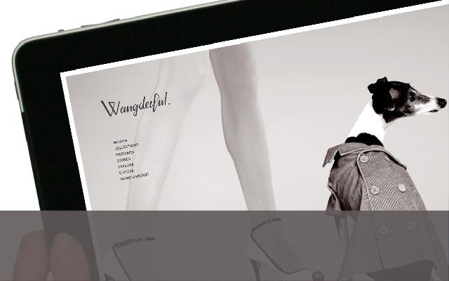 专业宠物服饰品牌